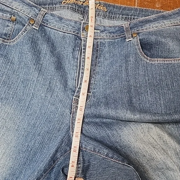Monroe And Main Womens Blue Denim Capri Plus Size Jeans Size 16 - Picture 6 of 12